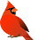 pfctdayelise